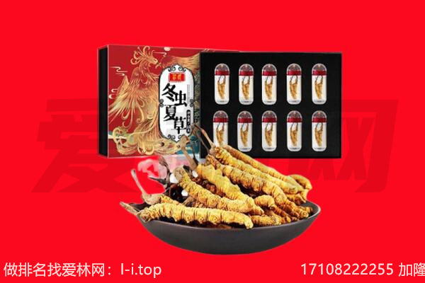 北京市回收虫草.jpg